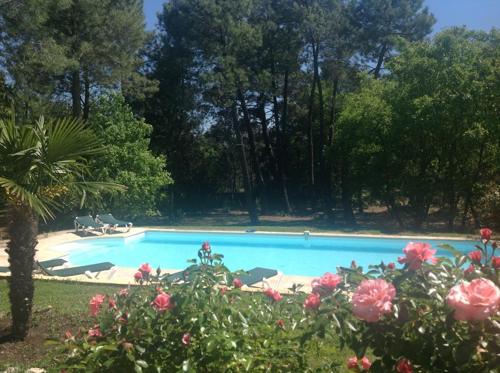 Le Clos Des Cigales Roussillon en Isere Δωμάτιο φωτογραφία